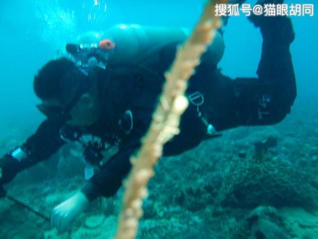 光环战争2
